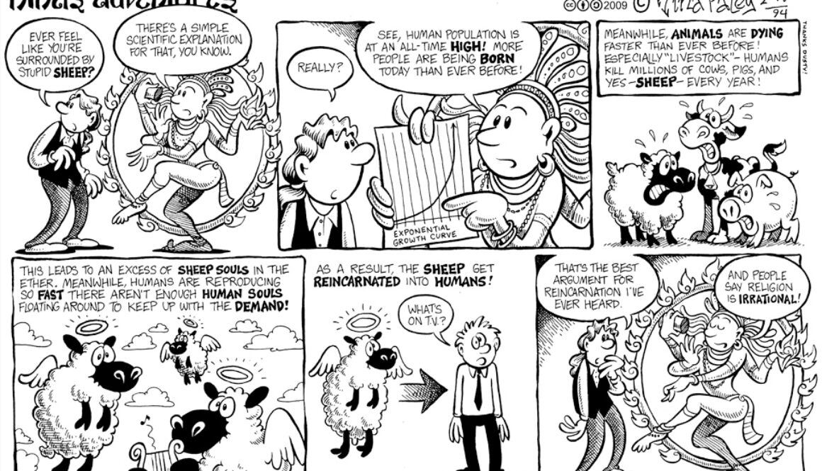 Reincarnation Explanation - Buddhism without Boundaries